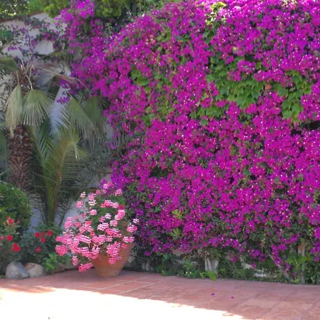 Cherry Dom wakacyjny Lloret de Mar