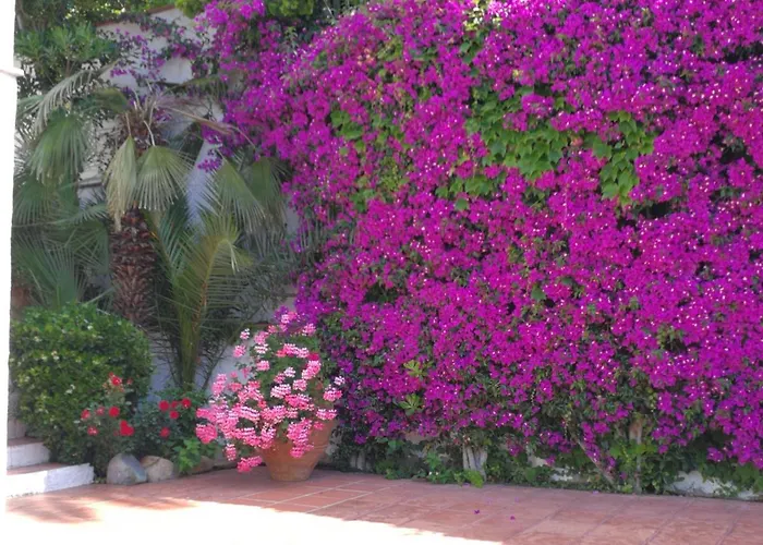 Cherry Dom wakacyjny Lloret de Mar