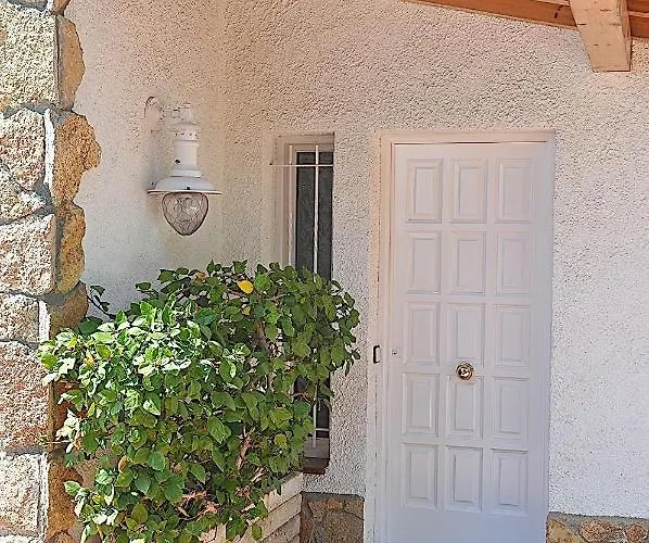 Cherry * Льорет-де-Мар