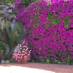 Cherry Holiday home Lloret de Mar